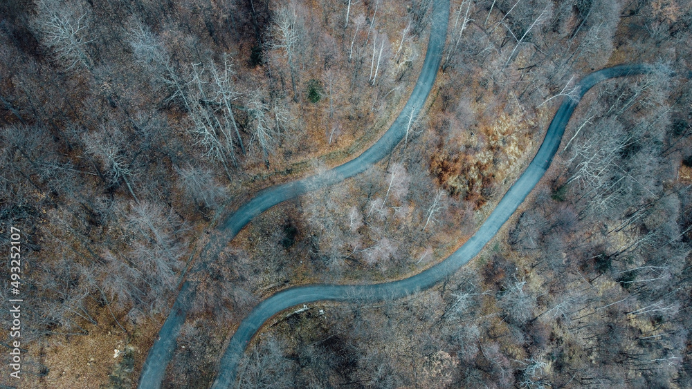 Aerial high angle view of narrow winding curvy mountain road among the trees in winter forest. Bird