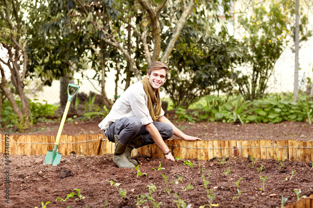 Working in his vegetable garden. Handsome young guy planting some seedlings in his vegetable garden.