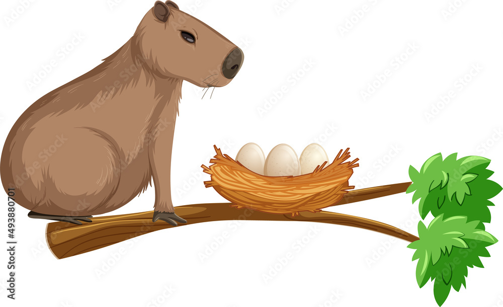 Capybara on branch with egg nest