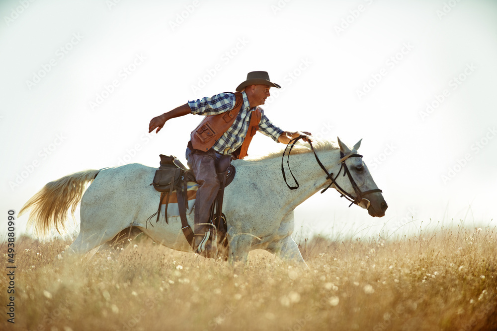 Yeeha。一个骑在马上的牛仔。