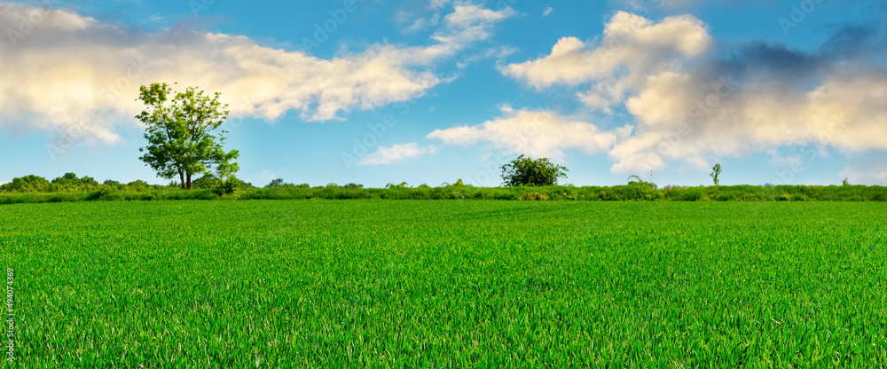 宽阔的绿地和如画的多云天空，乡村景观