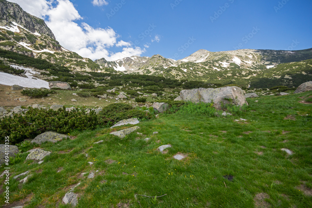 Landscape of Pirin Mountain near Popovo Lake, Bulgaria