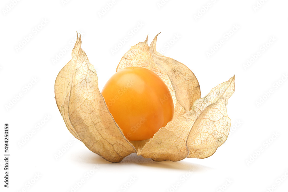 Cape gooseberry (physalis) fruit isolated on white background.