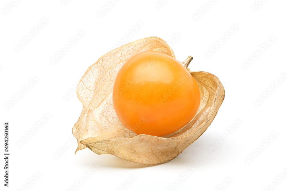 在白色背景下分离的开普醋栗（physalis）果实。