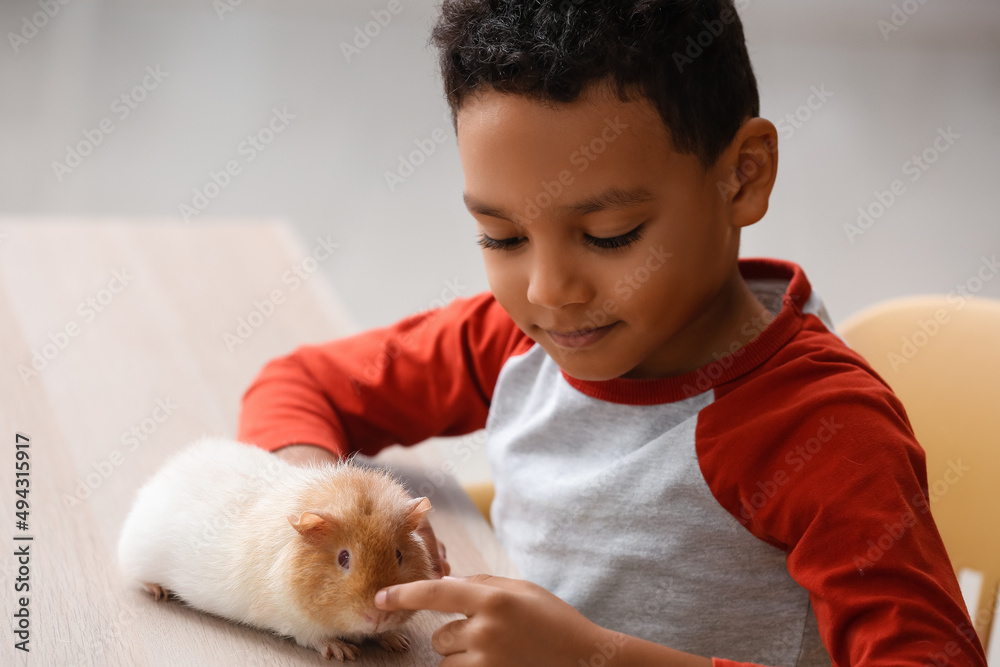 Little African-American boy with cute guinea pig at home