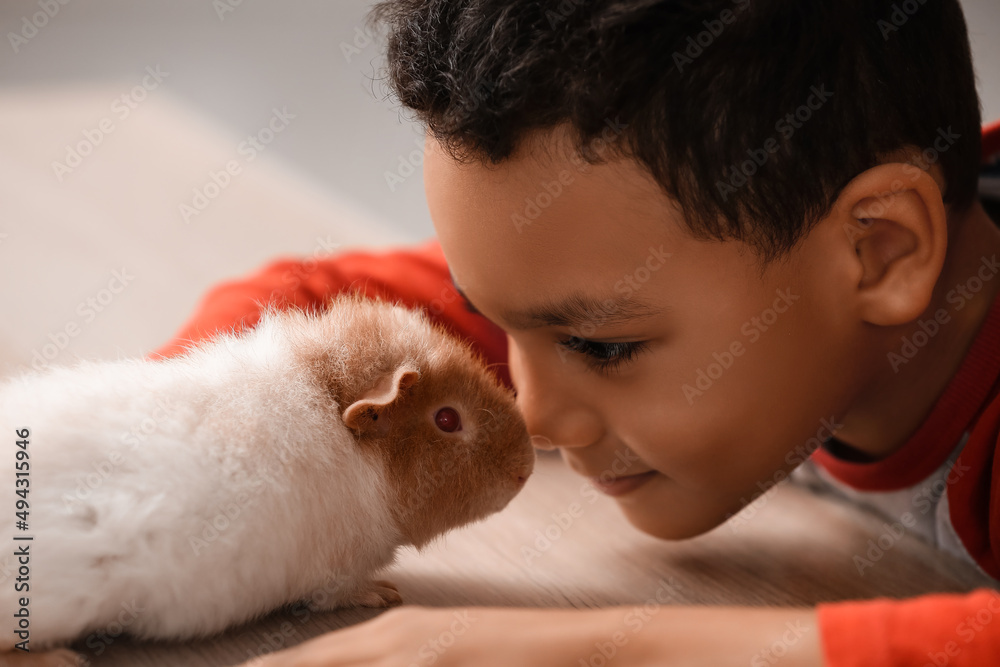 Little African-American boy with cute guinea pig at home