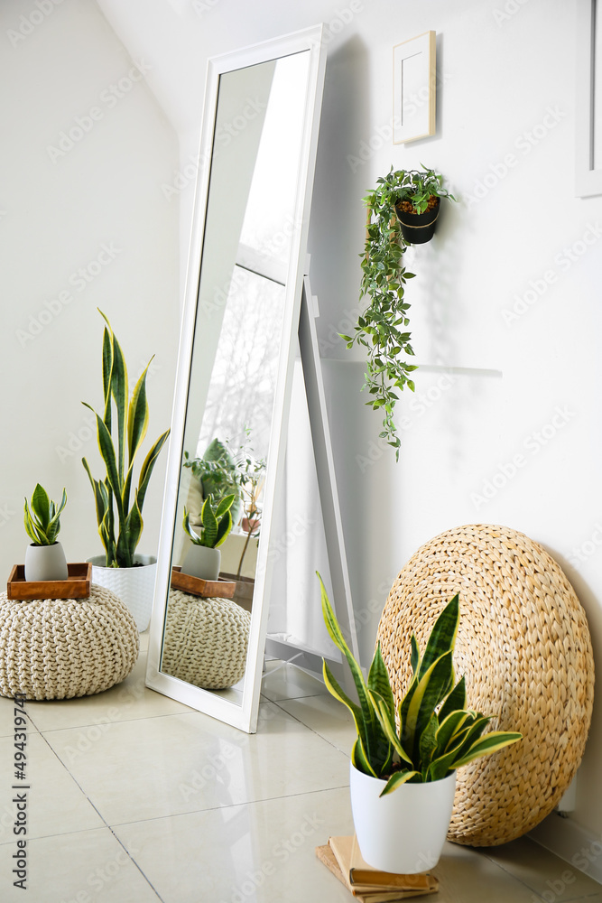 Interior of light living room with mirror, poufs and houseplants