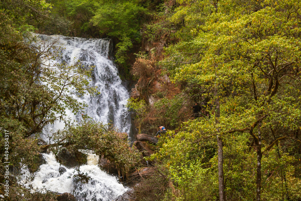 waterfall in the forest