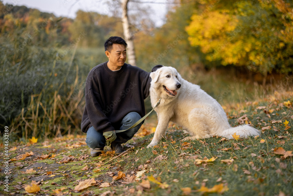 坐在大自然中晒太阳的时候，一个愉快的亚洲男人抚摸着他的Marermano Abruzzese牧羊犬