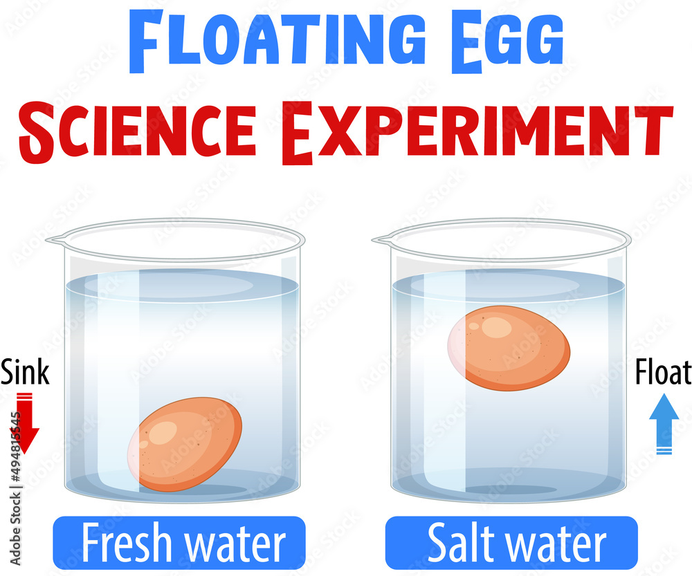 Floating egg science experiment