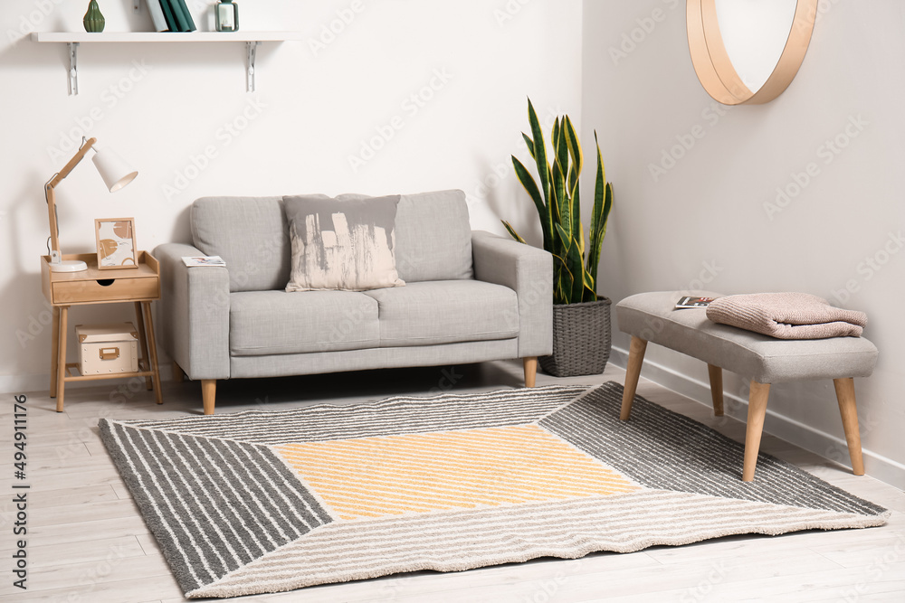 Interior of stylish living room with sofa and carpet