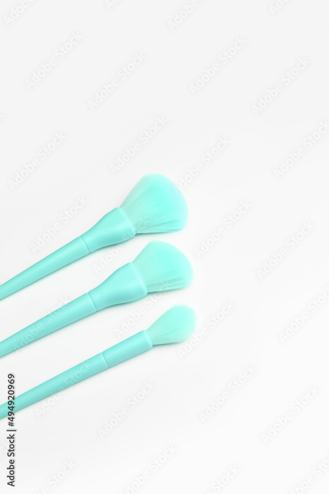 Beautiful makeup brushes on white background