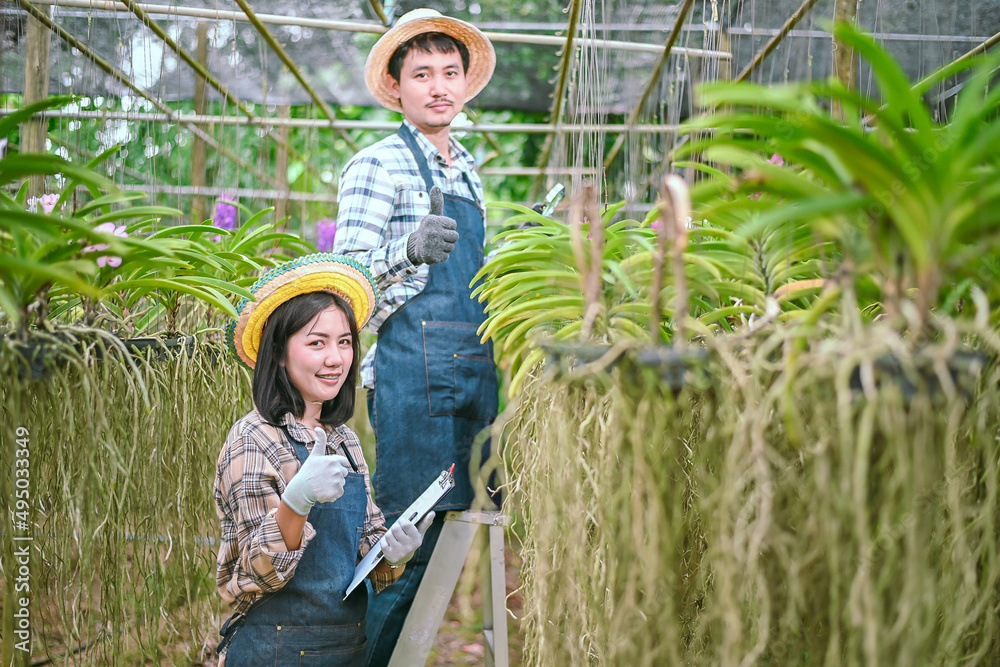 肖像夫妇兰花园艺农场的亚洲小企业主，紫色的兰花正在绽放