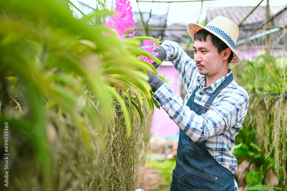 亚洲农民保护植物免受昆虫侵害。农民花园