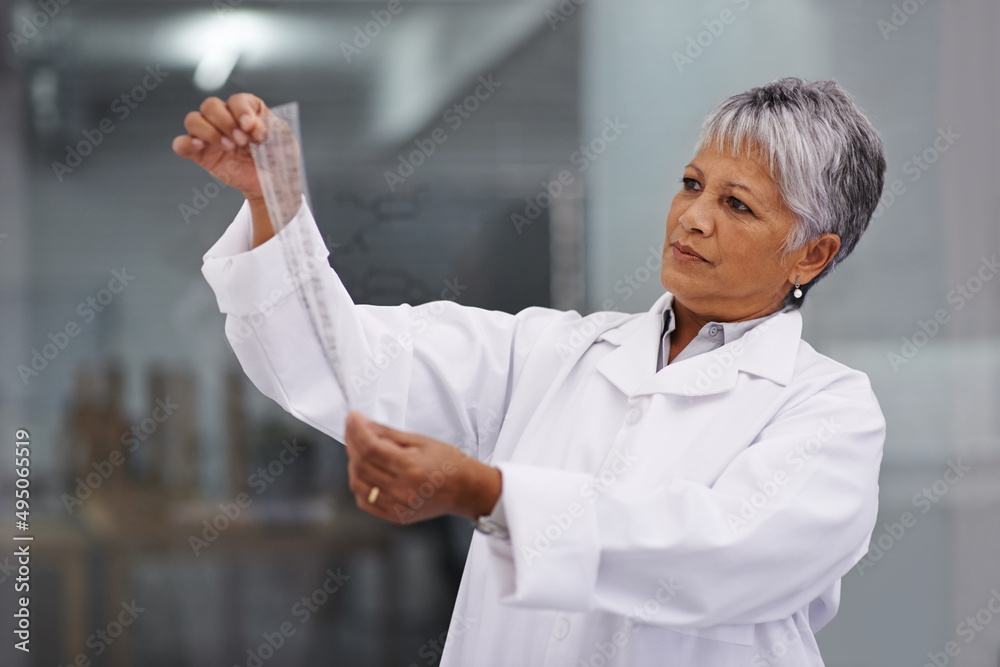 Analysing the results. A female scientist holding up test results and reviewing them.