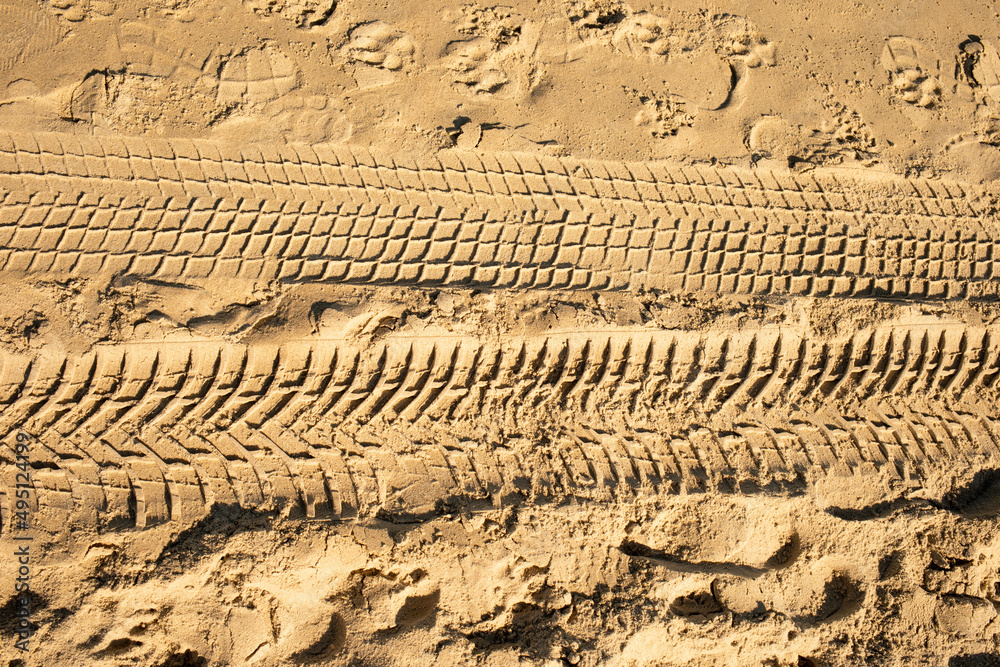 Tire tracks on sandy beach