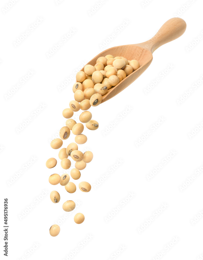 Pouring Soybeans from wooden spoon isolated on white background.