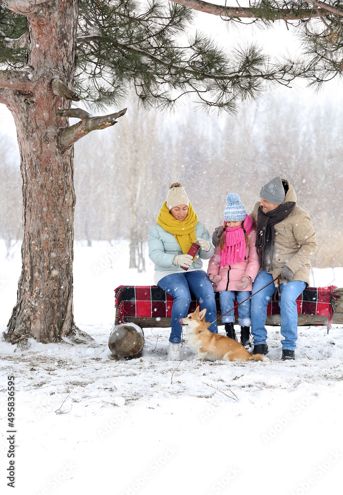 下雪的冬日，小女孩、带着保温瓶的爷爷奶奶和柯基犬在公园里