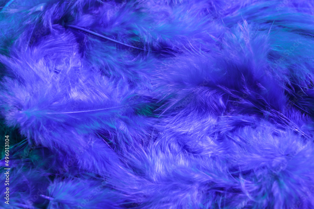 Beautiful soft feathers as background