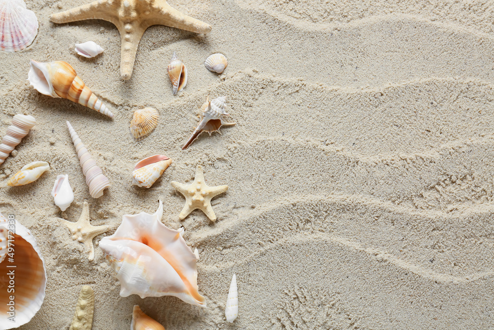 Many different sea shells and starfish on beach sand, top view