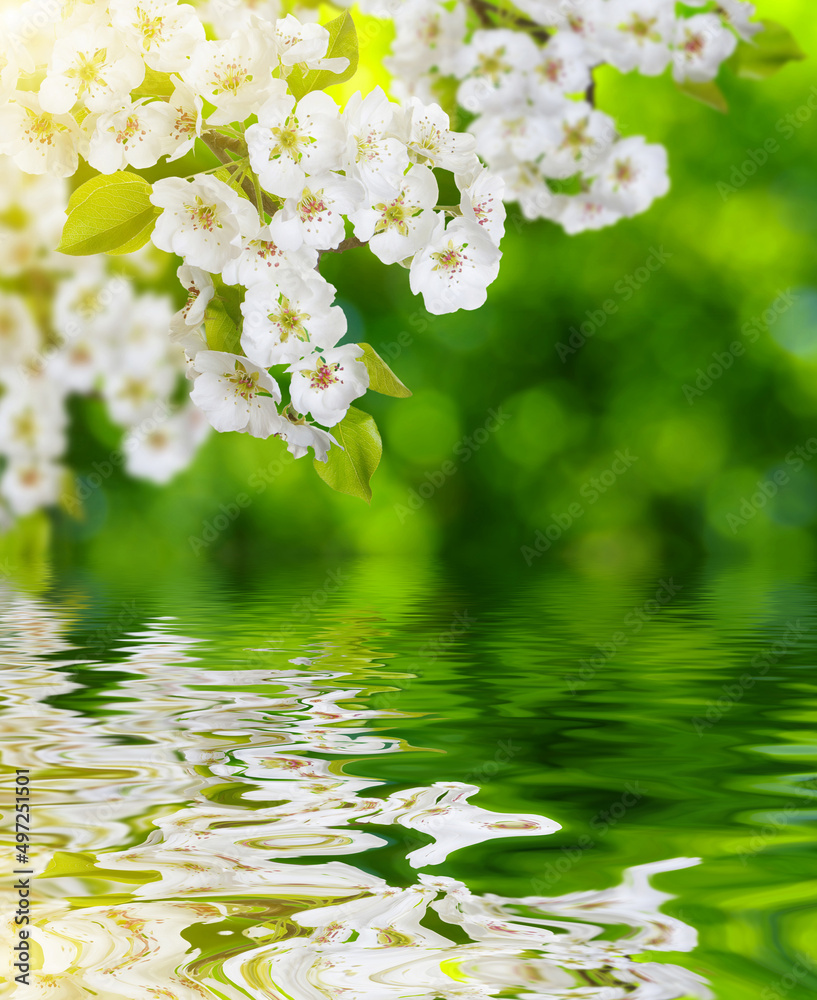 近水楼台春暖花开