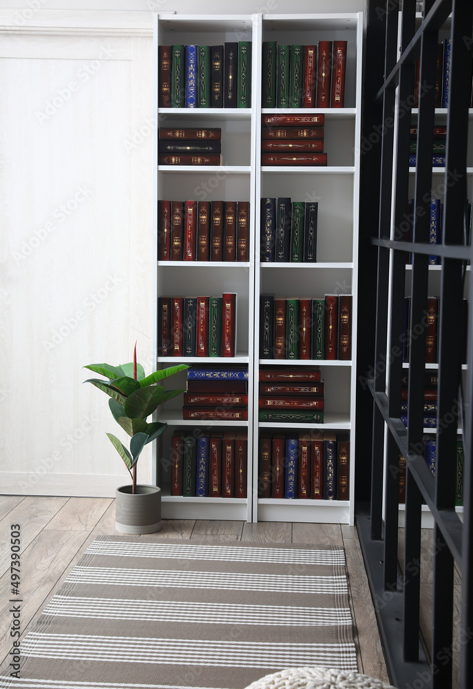 Shelf unit with books in home library