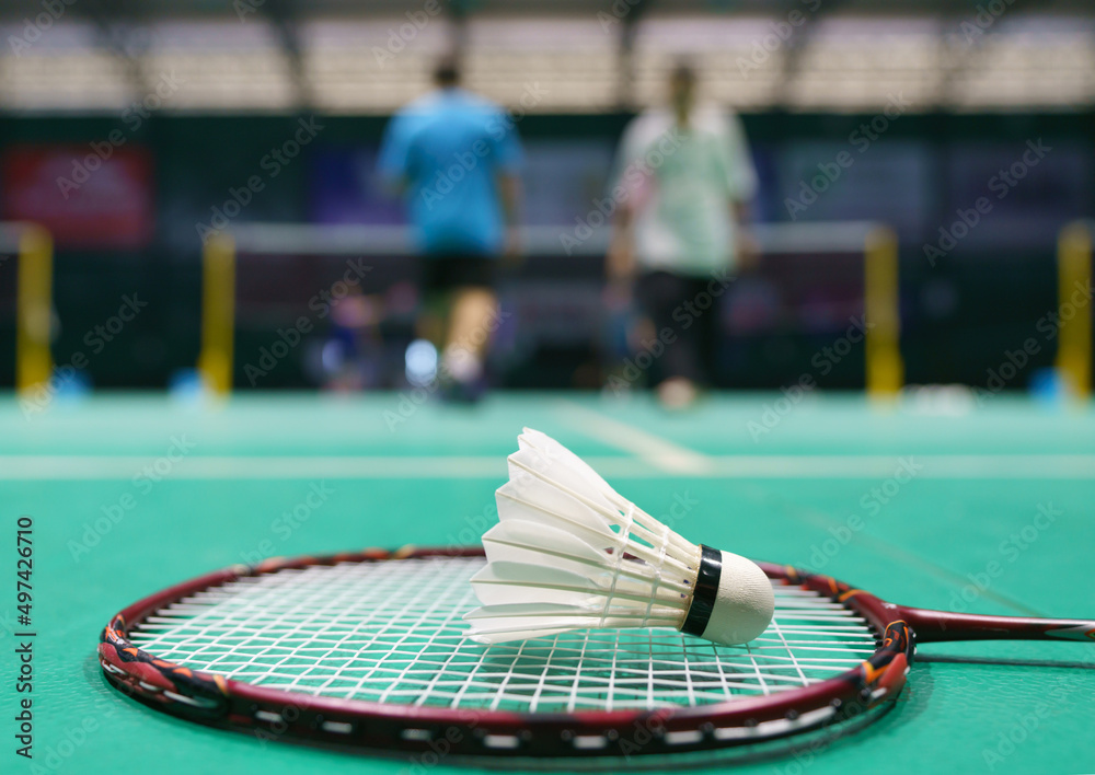 shuttlecock on green badminton playing court