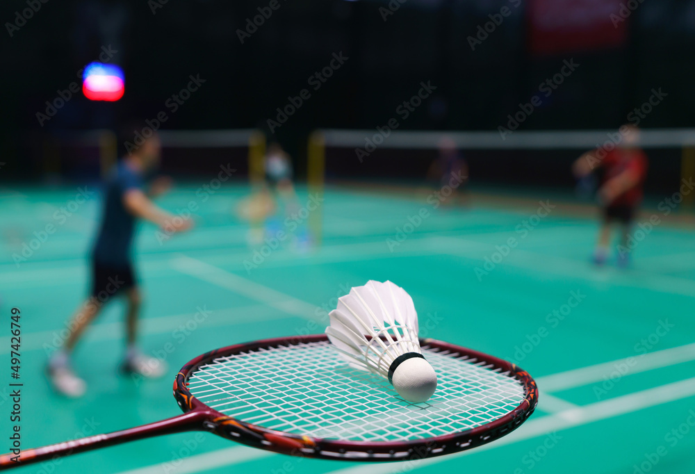 shuttlecock on green badminton playing court