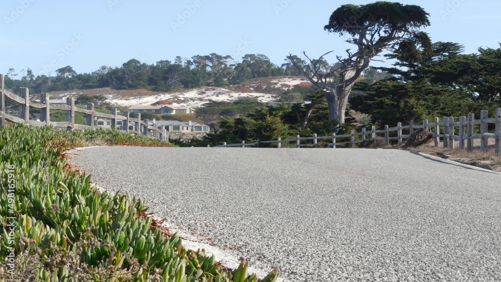 美国加利福尼亚州蒙特雷市，17英里车程的风景大道。沿着海洋海岸旅行。太平洋海岸高地