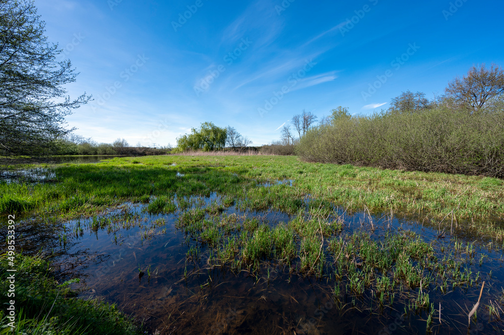 Paysage des étangs de La Dombes dans le département de lAin en France au printemps