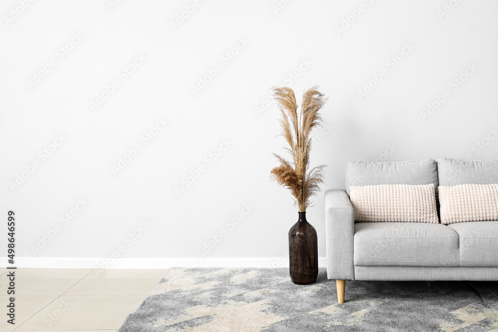 New sofa and vase with pampas grass near light wall