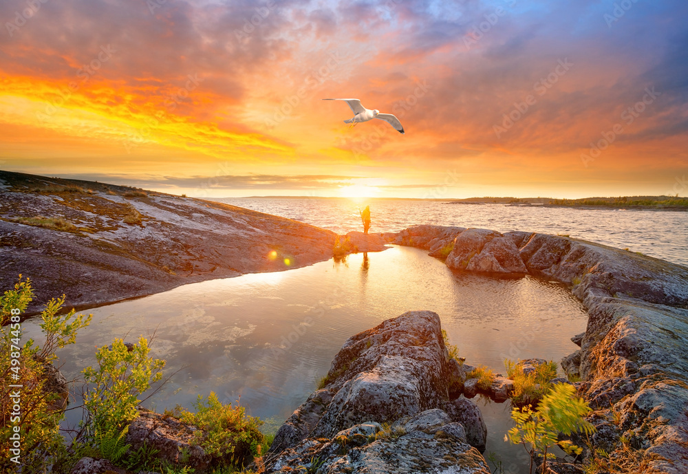 Stone shore of lake at sunsetand and seagull in sky