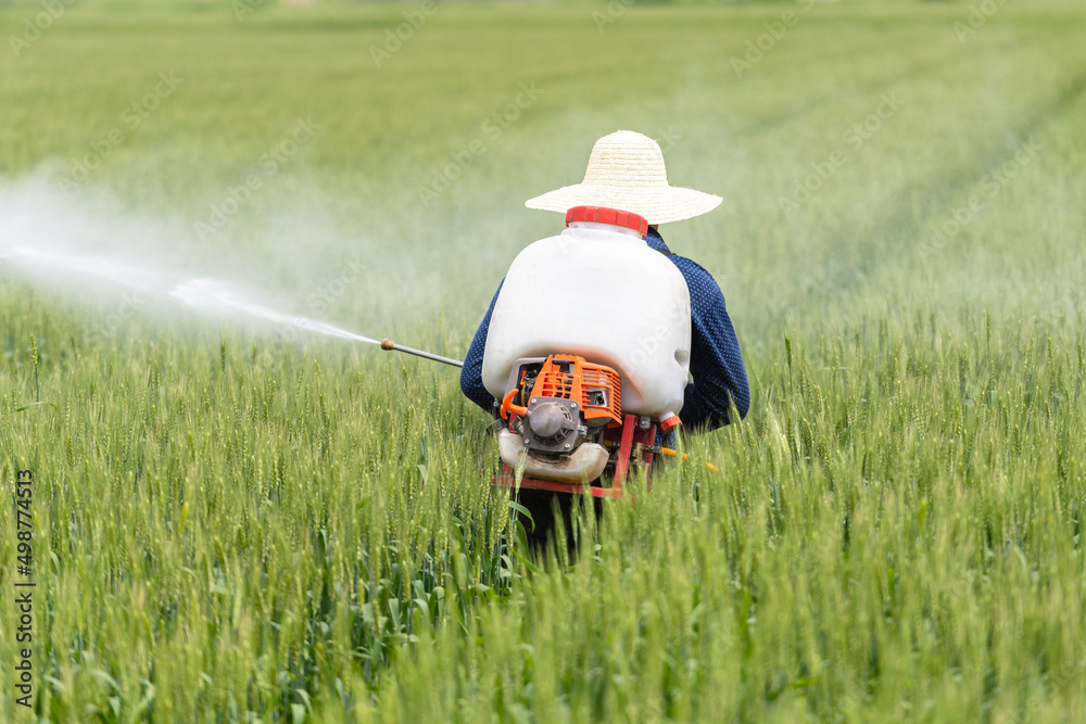 farmer working in farm