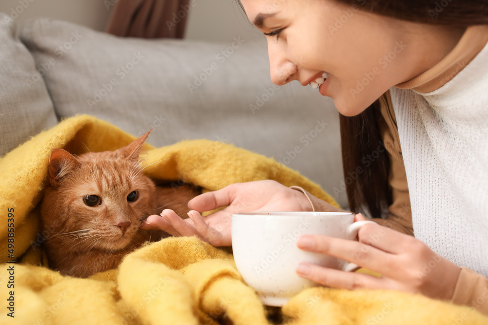 秋天，家里有一只可爱的姜黄色猫和一杯热茶的女人