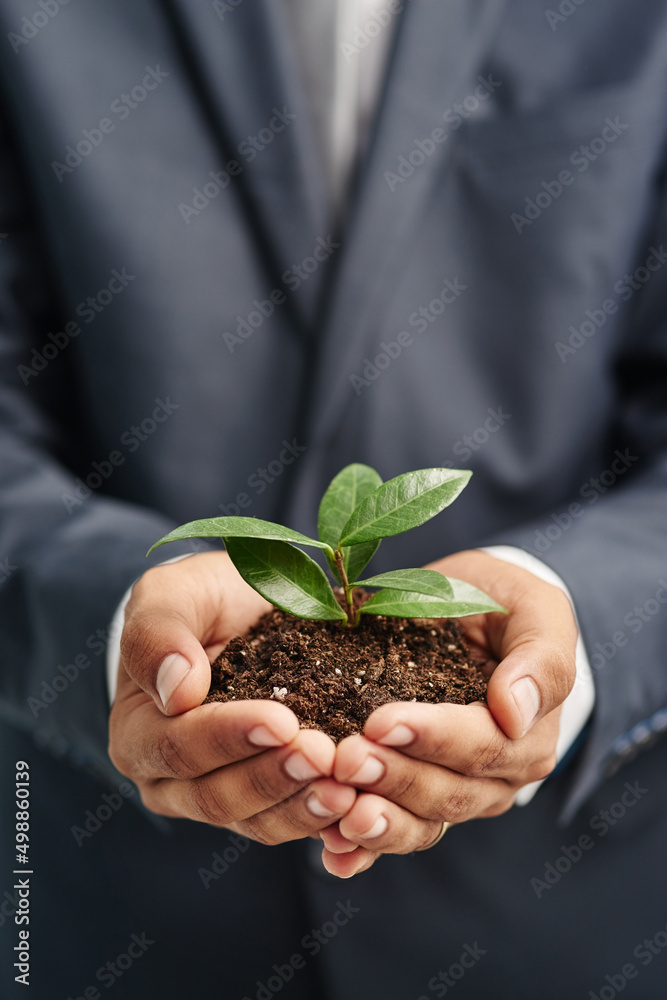 确保企业增长的健康。一个穿着西装的商人抱着一个萌芽的特写镜头