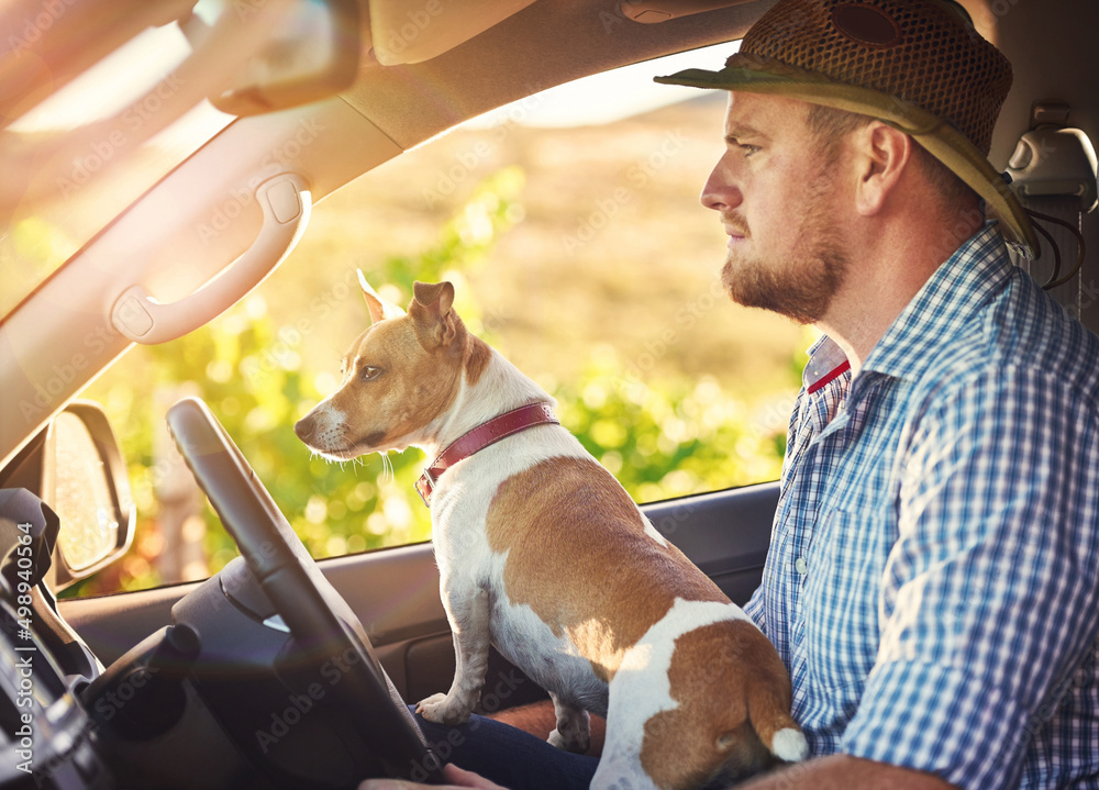 My driveway is its own long dirt road. Shot of a man and his dog driving out in the countryside.