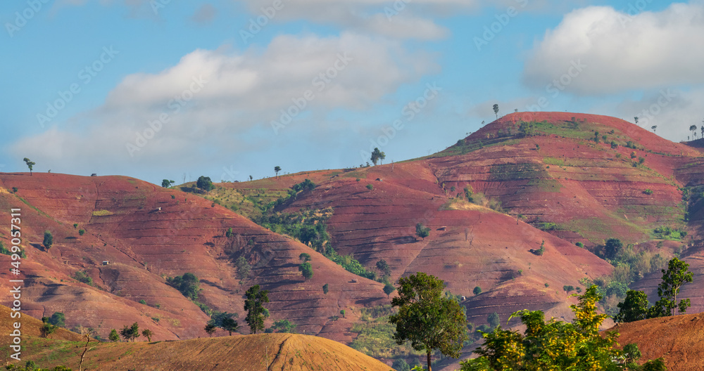 The destruction of forests for shifting cultivation in Thailand.