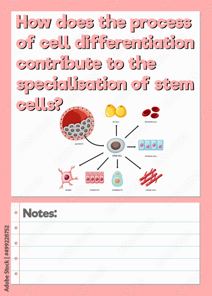 Science Experiment Log Worksheet