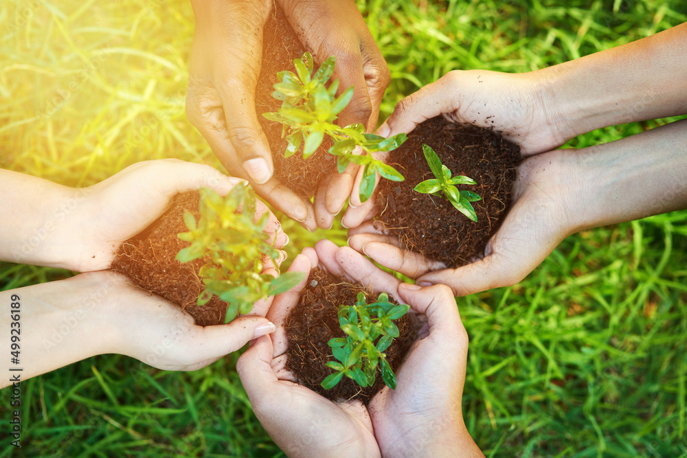 Together we can grow a greener tomorrow. Cropped shot of a group of people each holding a plant grow