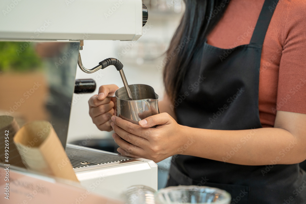 Cafe staff at work,Barista is Making a Cup of Cappuccino in Coffee Shop Bar.