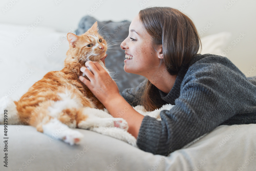 你是我生活中的一个完美补充。一个年轻女人在家里抚摸她的猫的镜头。