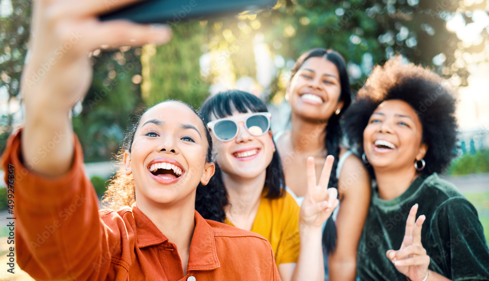 They will never forget how you made them feel. Shot of a group of friends taking a selfie in a park.