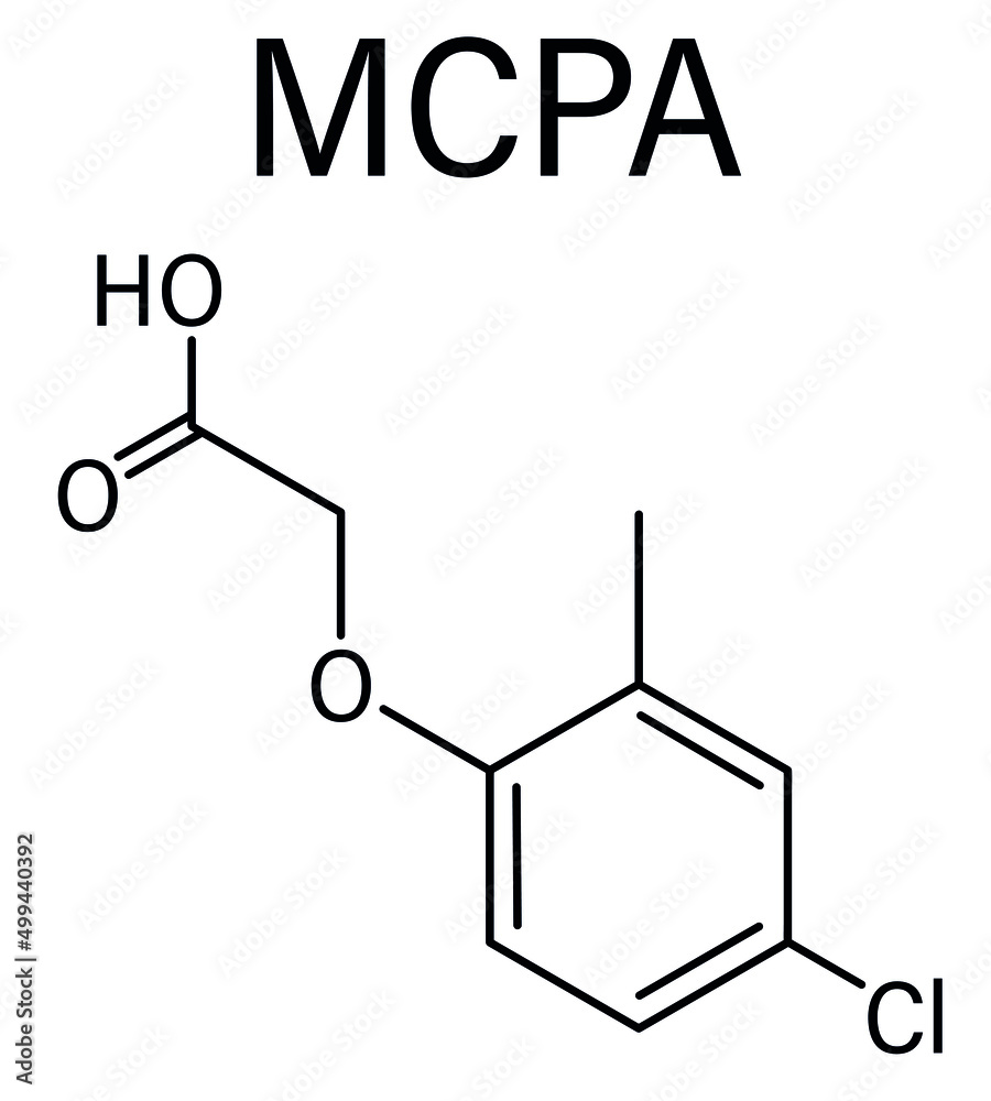 MCPA , 2-methyl-4-chlorophenoxyacetic acid herbicide molecule. Skeletal formula.