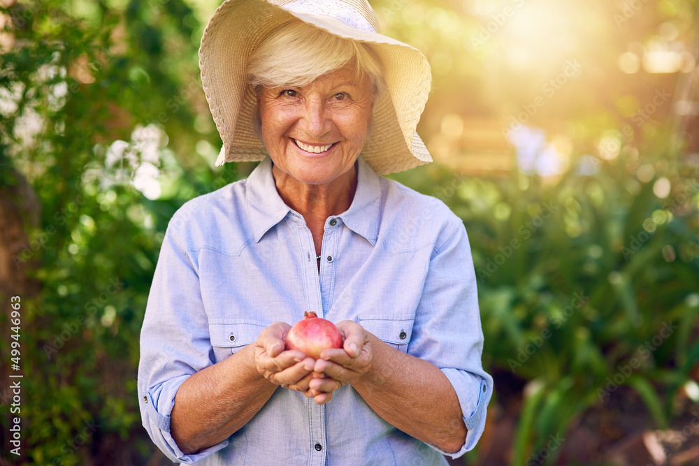 I think Ill make some pomegranate jam with this. Shot of a senior woman holding a freshly picked pom