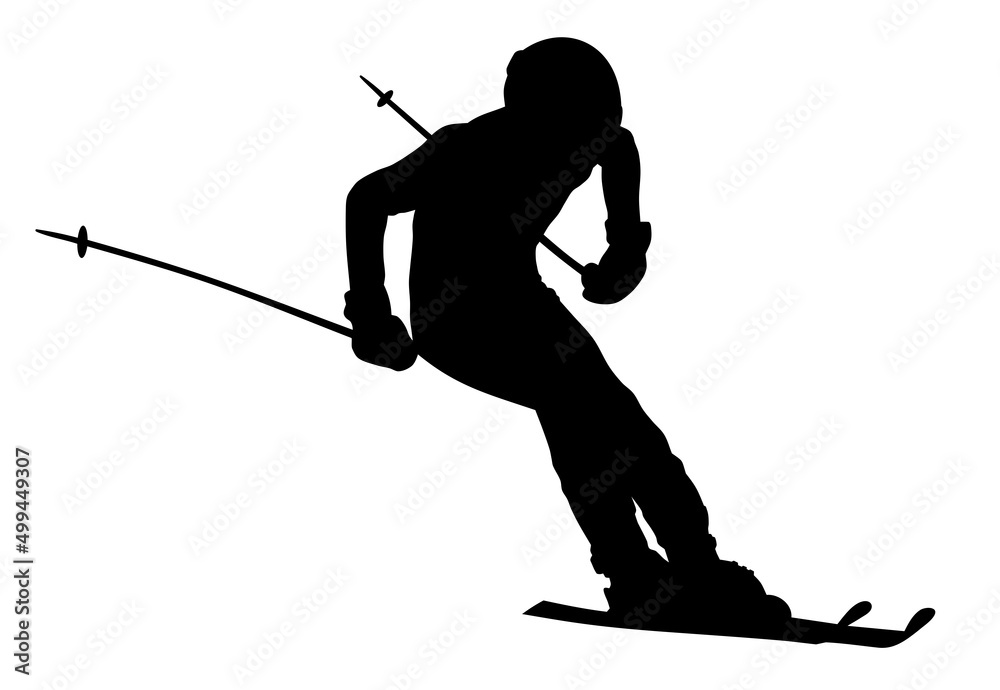 Skier