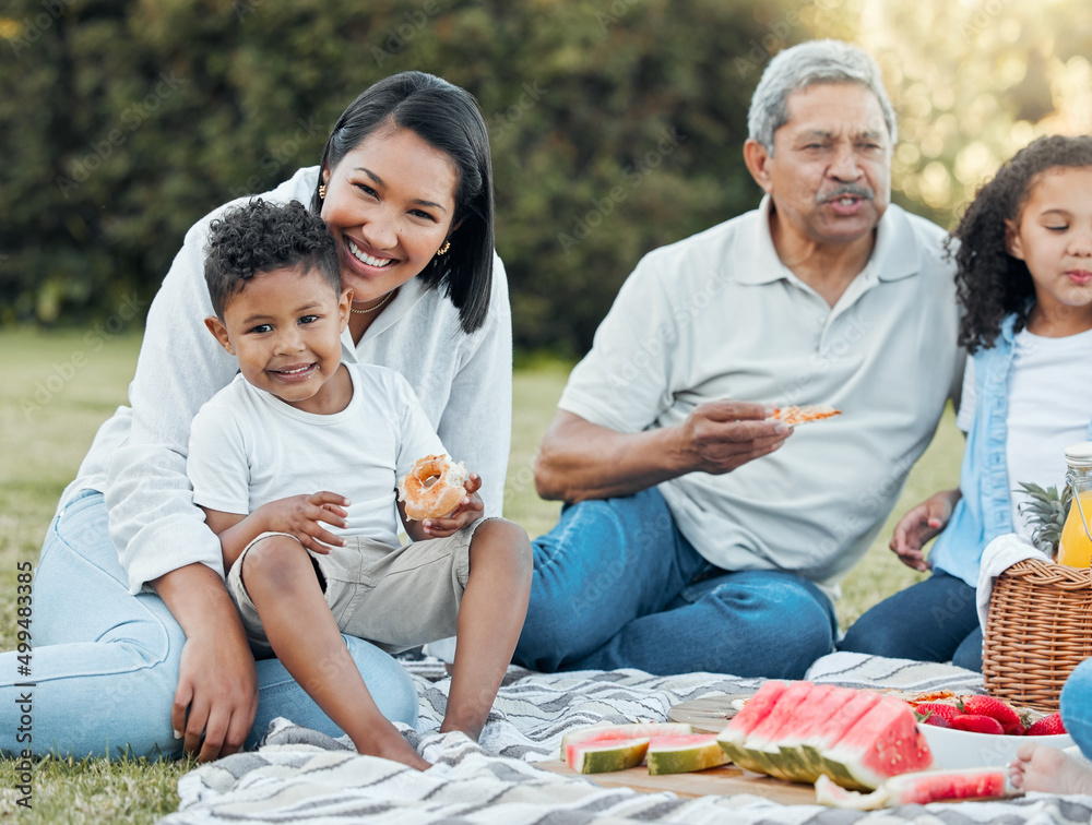 The informality of family life is a blessed condition. Shot of a family enjoying a picnic in a park.