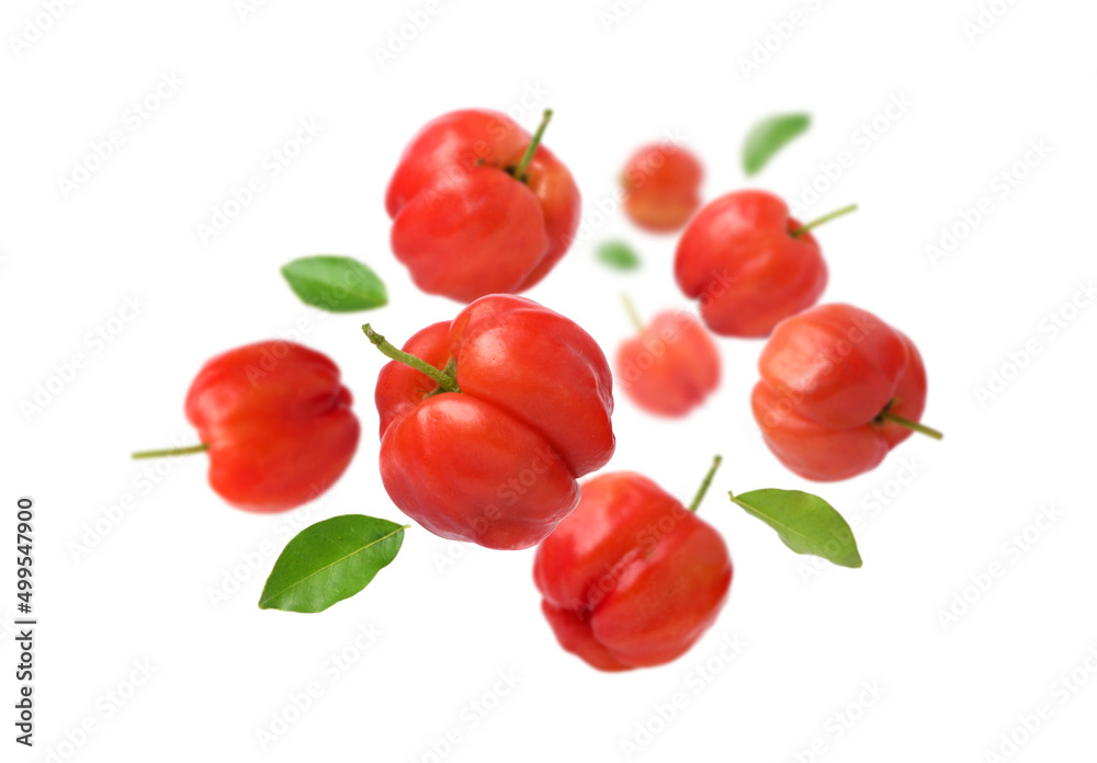 Acerola cherry with leaves  levitate isolated on white background.