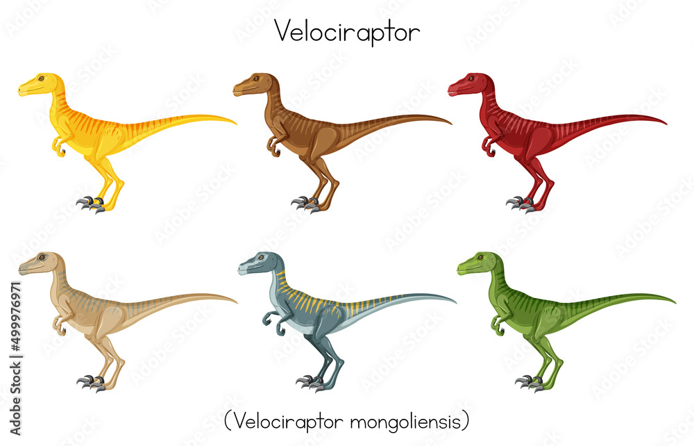 Velociraptor in different colors