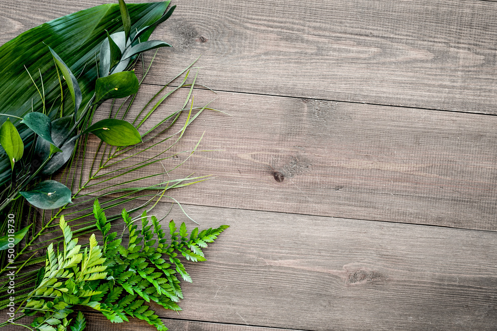 Spring composition. Young green leaves and branches on dark wooden background top view copy space