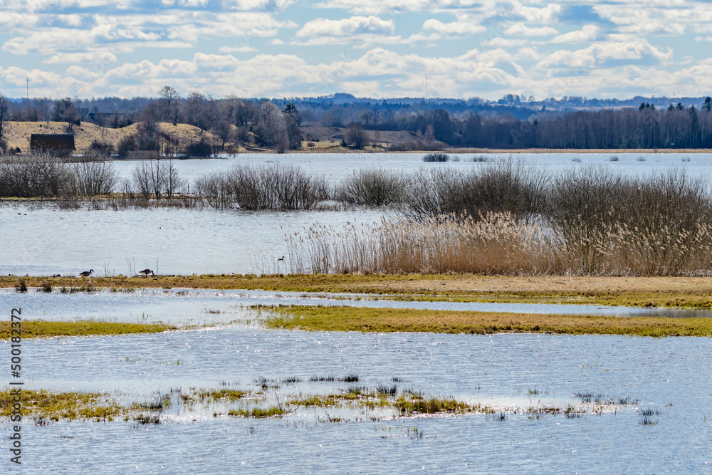 panoramic view of lake hornborgasjoen in sweden